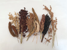 Load image into Gallery viewer, Premium Spray Mixture