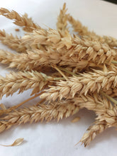 Load image into Gallery viewer, Premium Spray Mixture