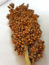 Load image into Gallery viewer, Premium Spray Mixture