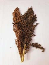 Load image into Gallery viewer, Premium Spray Mixture