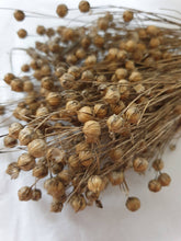 Load image into Gallery viewer, Premium Spray Mixture