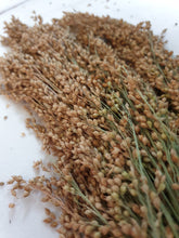 Load image into Gallery viewer, Premium Spray Mixture