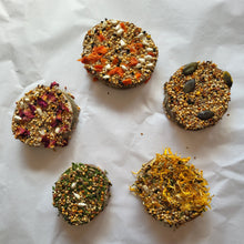 Load image into Gallery viewer, Five small round natural birdseed and herbal chews displayed on a white paper background, featuring different dried ingredients like pumpkin seeds, rose petals, and yellow flowers.
